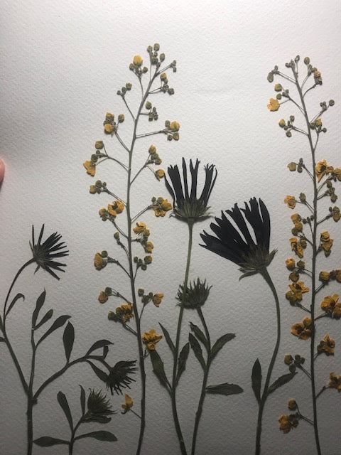 Pressed Flower Artwork